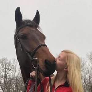 Meet your Posher, Bailey